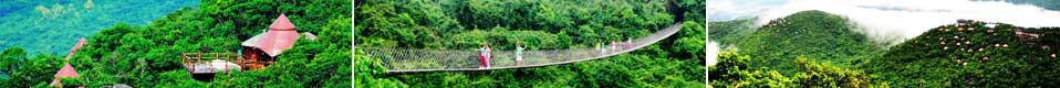 亚(yà)龙(lóng)湾人间天堂鸟巢(cháo)度假村